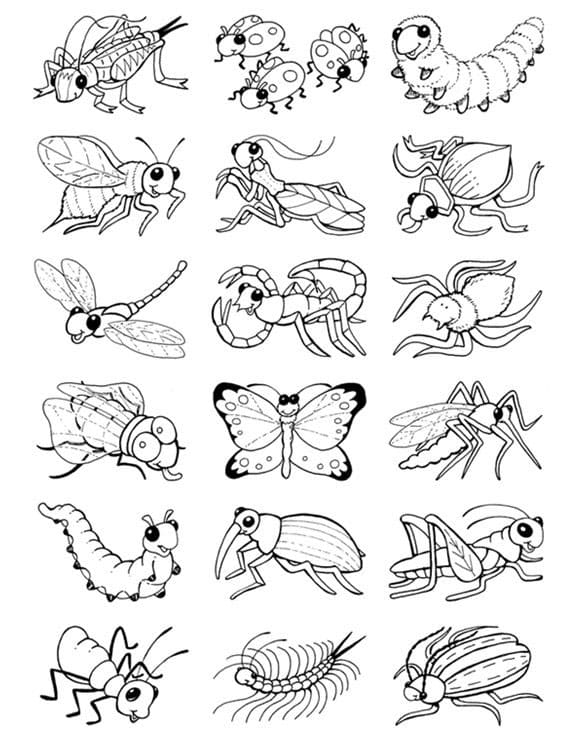 학생을 위한 무료 곤충 coloring page