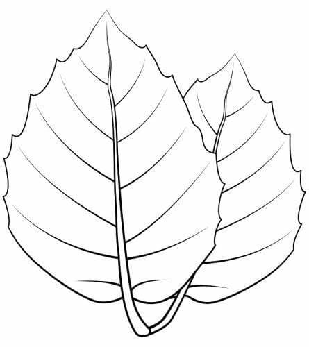 인쇄 가능한 잎 개요 coloring page