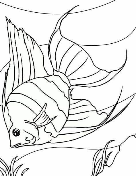 인쇄 가능한 물고기 이미지 coloring page