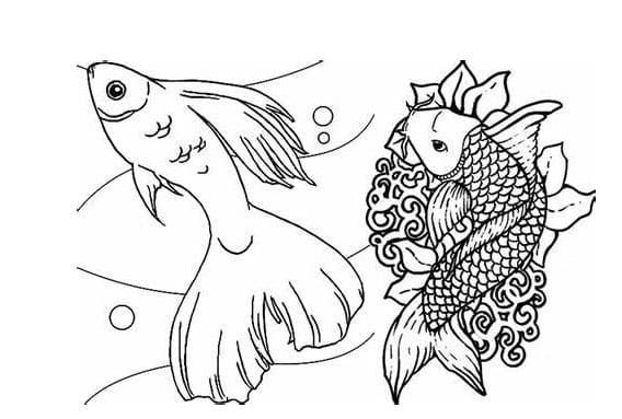 좋은 물고기 coloring page