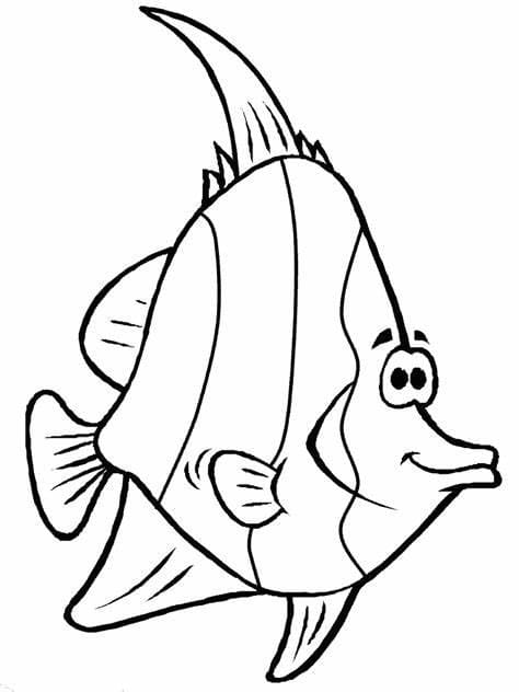멋진 물고기 coloring page