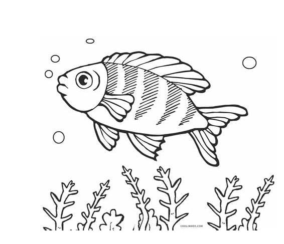 물 아래 물고기 coloring page
