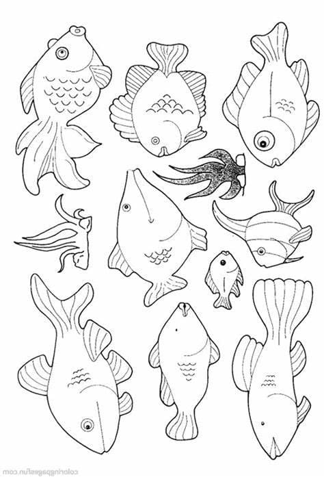물고기 이미지 coloring page