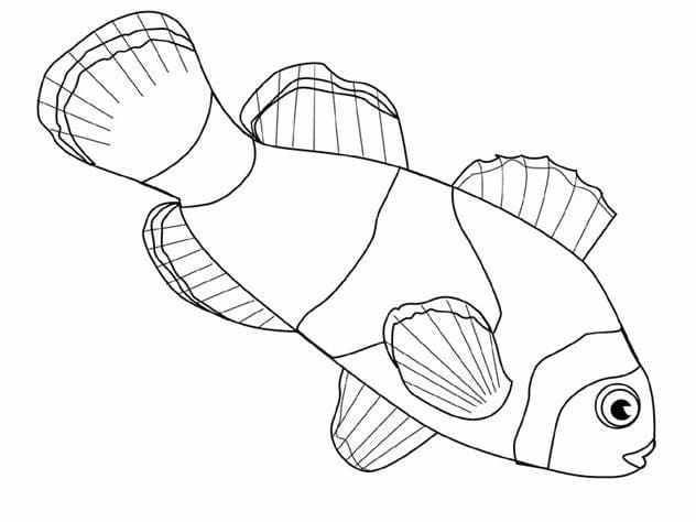 물고기 – 시트 20 coloring page