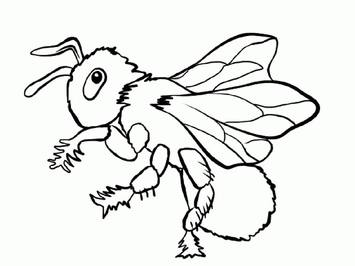 무료 곤충 HD coloring page