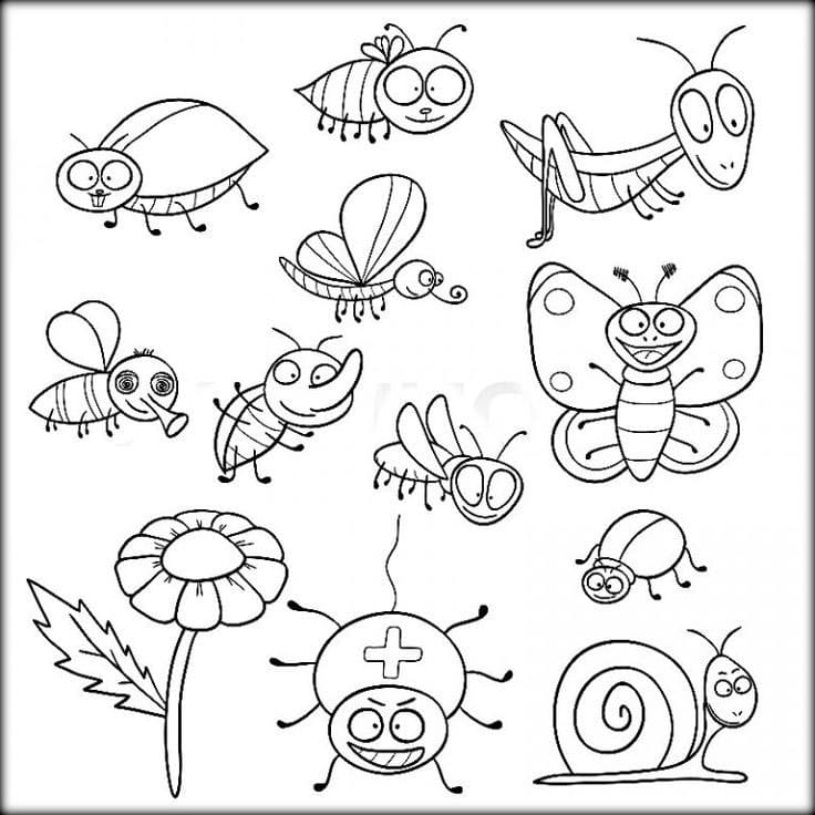 무료 곤충 이미지 coloring page