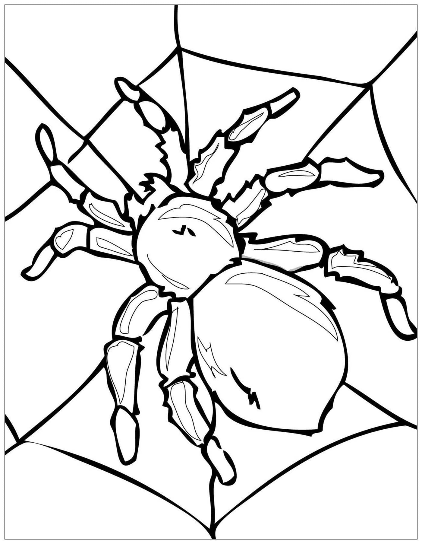 무료 인쇄 곤충 coloring page