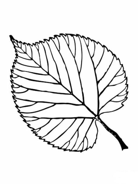 무료 인쇄 잎 coloring page