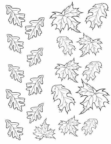 무료 인쇄 나뭇잎 이미지