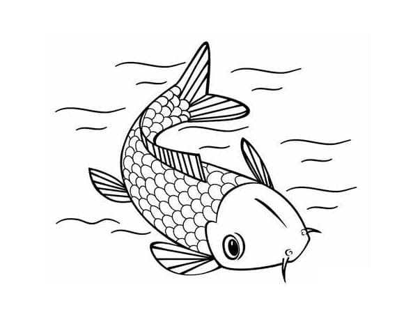 무료 물고기 그림 coloring page