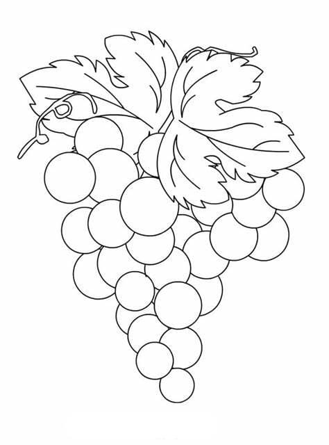 무료 포도 이미지 개요 coloring page