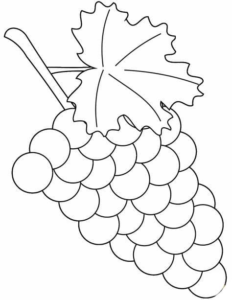 무료 포도 이미지 coloring page