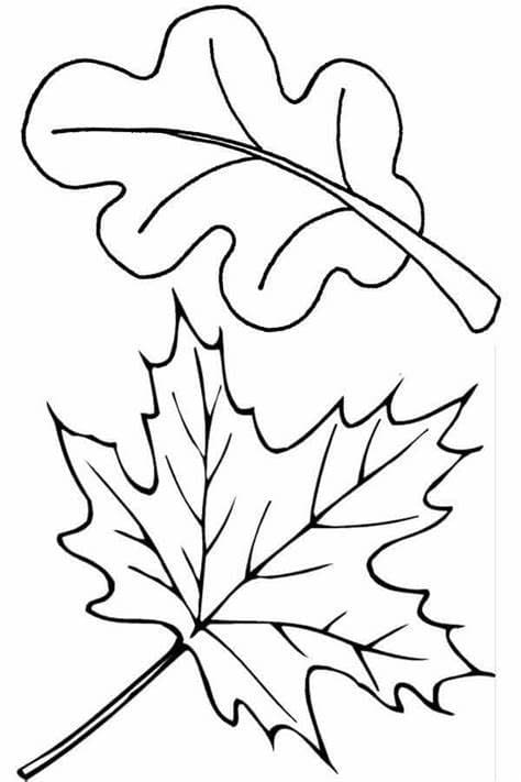 나뭇잎 이미지 인쇄 coloring page