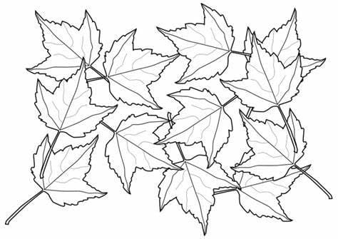 나뭇잎 이미지 외곽선 인쇄