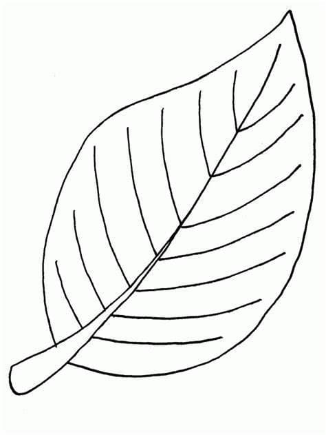 나뭇잎 JPG coloring page