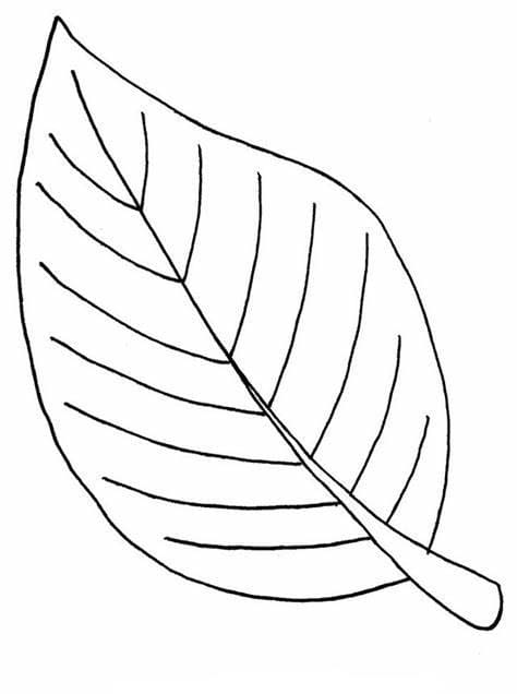 나뭇잎 coloring page