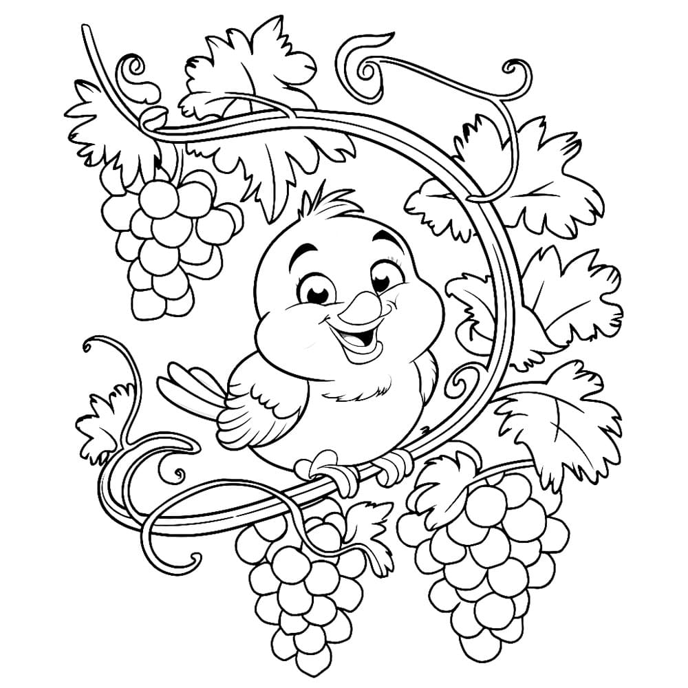 포도와 새 coloring page