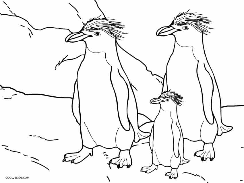 세 마리의 펭귄 이미지 coloring page