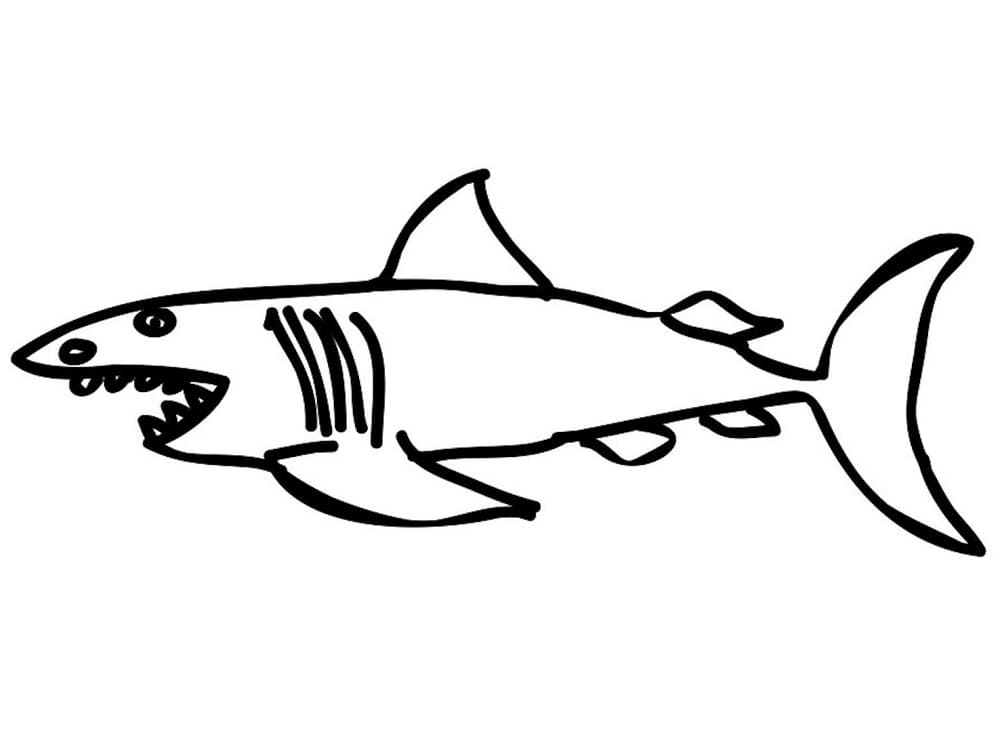 아이들을 위한 프린트 가능한 상어 coloring page