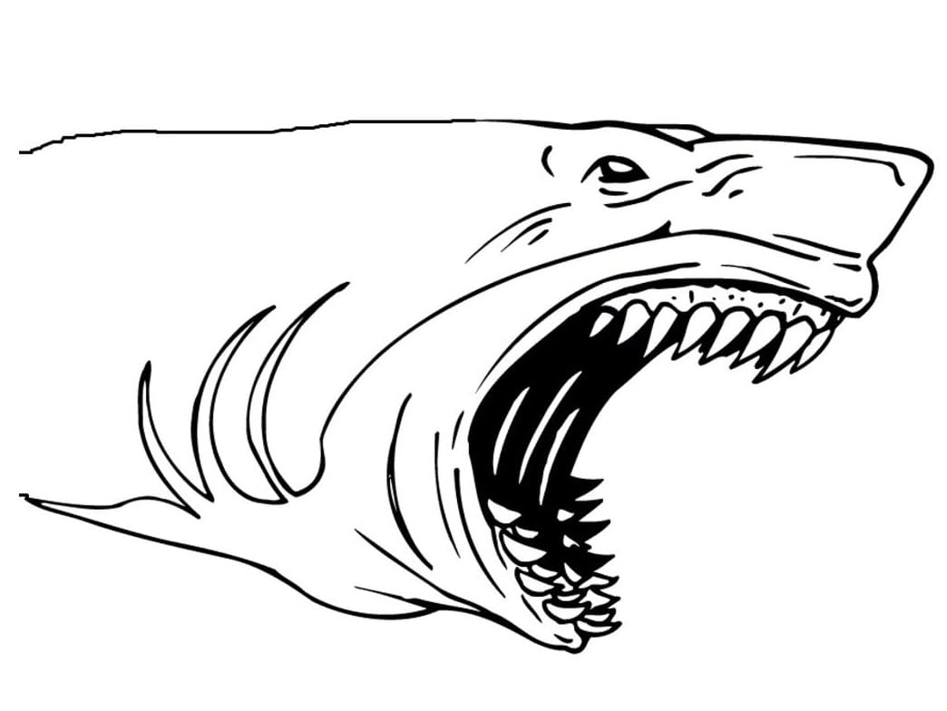 배고픈 상어 coloring page