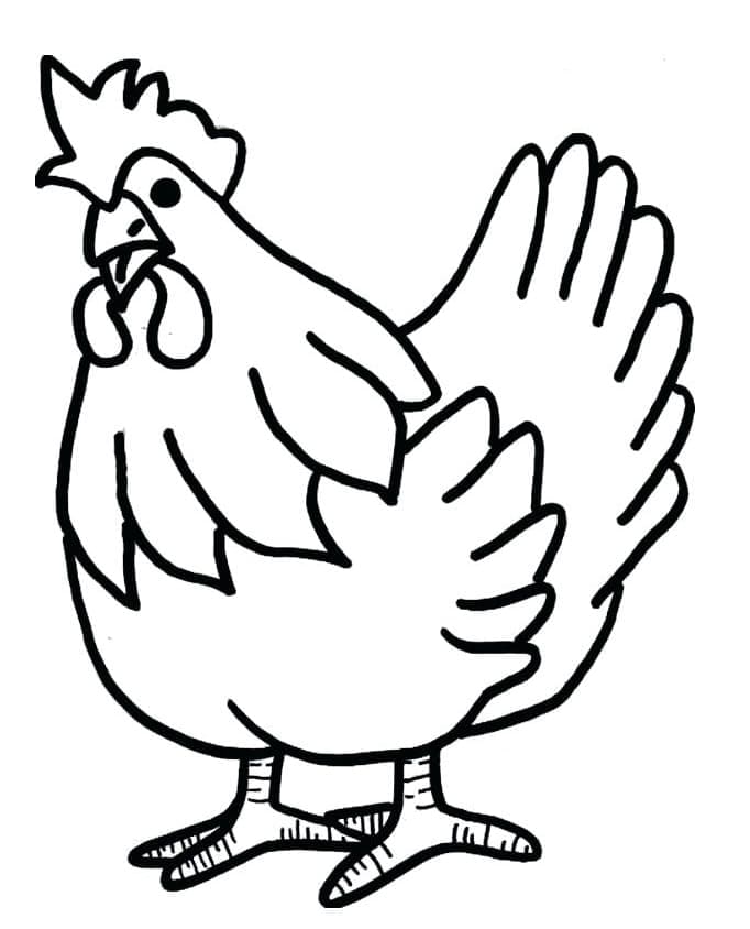 닭 coloring page