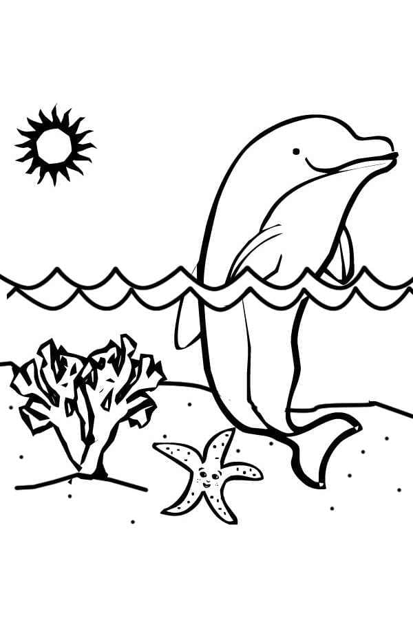 돌고래 coloring page