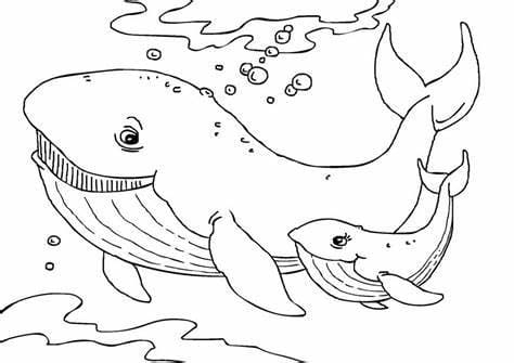 고래 한 쌍 coloring page