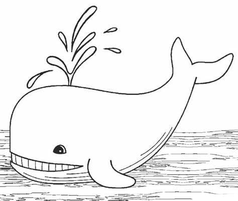 고래 – 시트 10 coloring page
