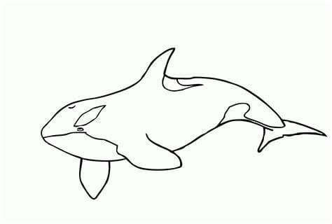 고래 – 시트 4 coloring page