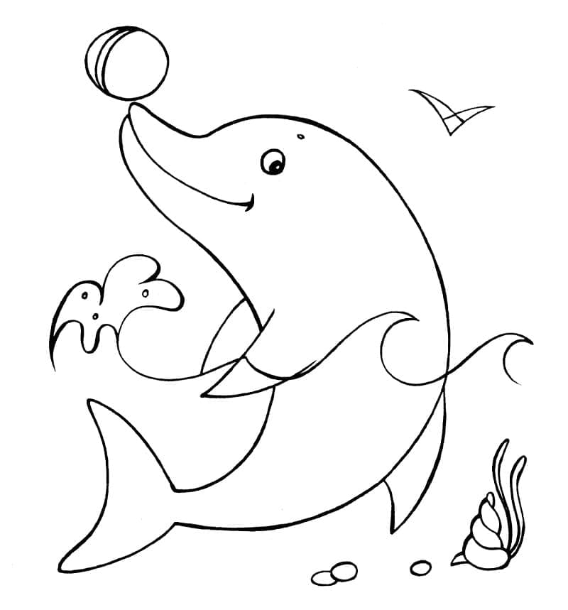 공을 가진 돌고래 coloring page