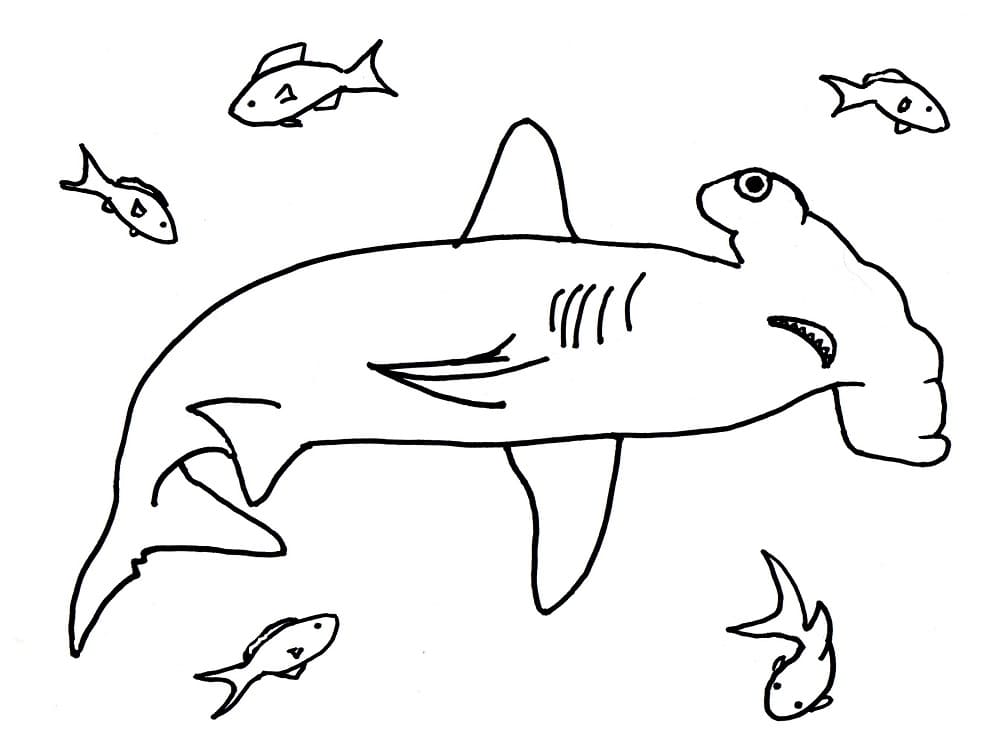 귀상어 상어 coloring page