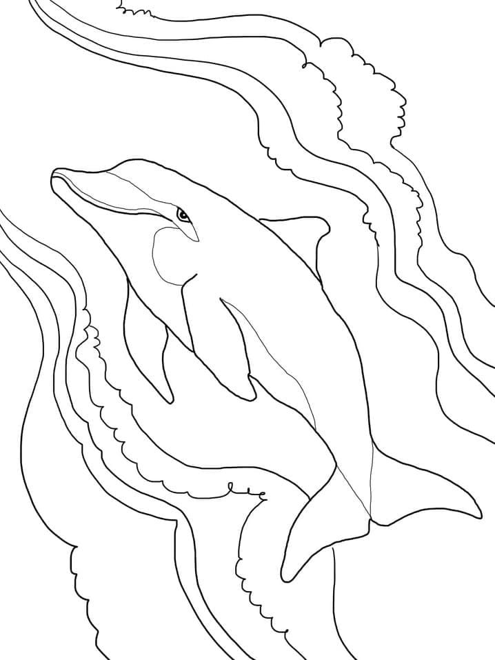 큰돌고래 coloring page
