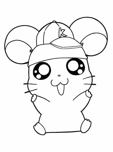 모자를 쓴 햄스터 coloring page