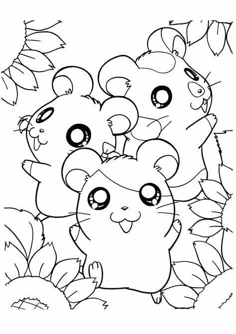 무료 햄스터 개요 coloring page