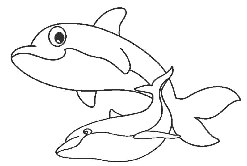 사랑스러운 돌고래 coloring page