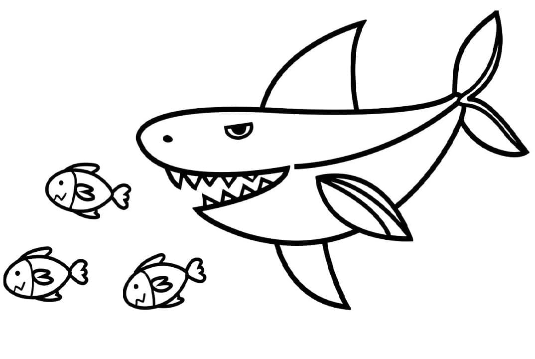 상어와 물고기