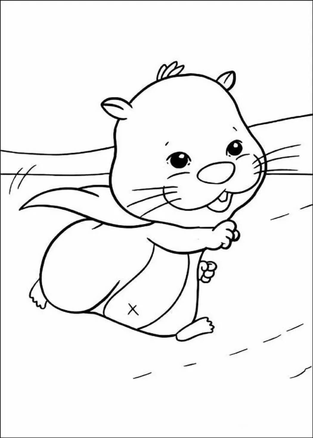 슈퍼 햄스터 coloring page