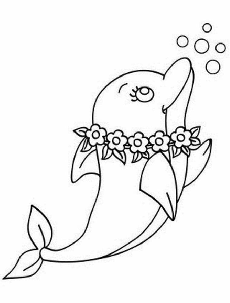 예쁜 돌고래 coloring page