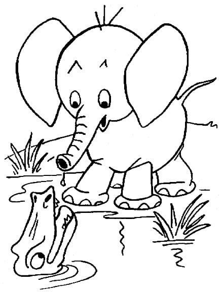아기 코끼리와 악어 coloring page