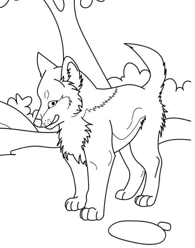 아기 늑대 coloring page
