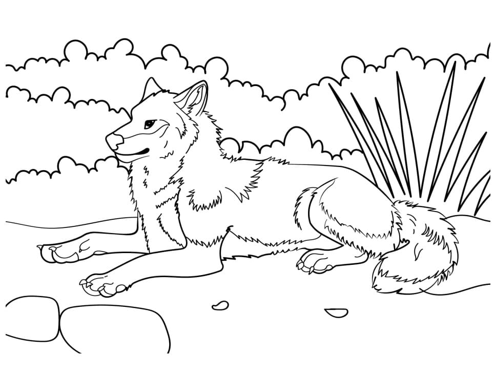 아이들을 위한 무료 늑대 coloring page
