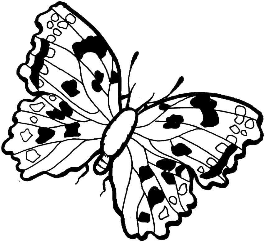 아이들을 위한 나비 coloring page