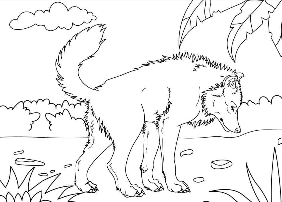 아이들을 위한 늑대 coloring page