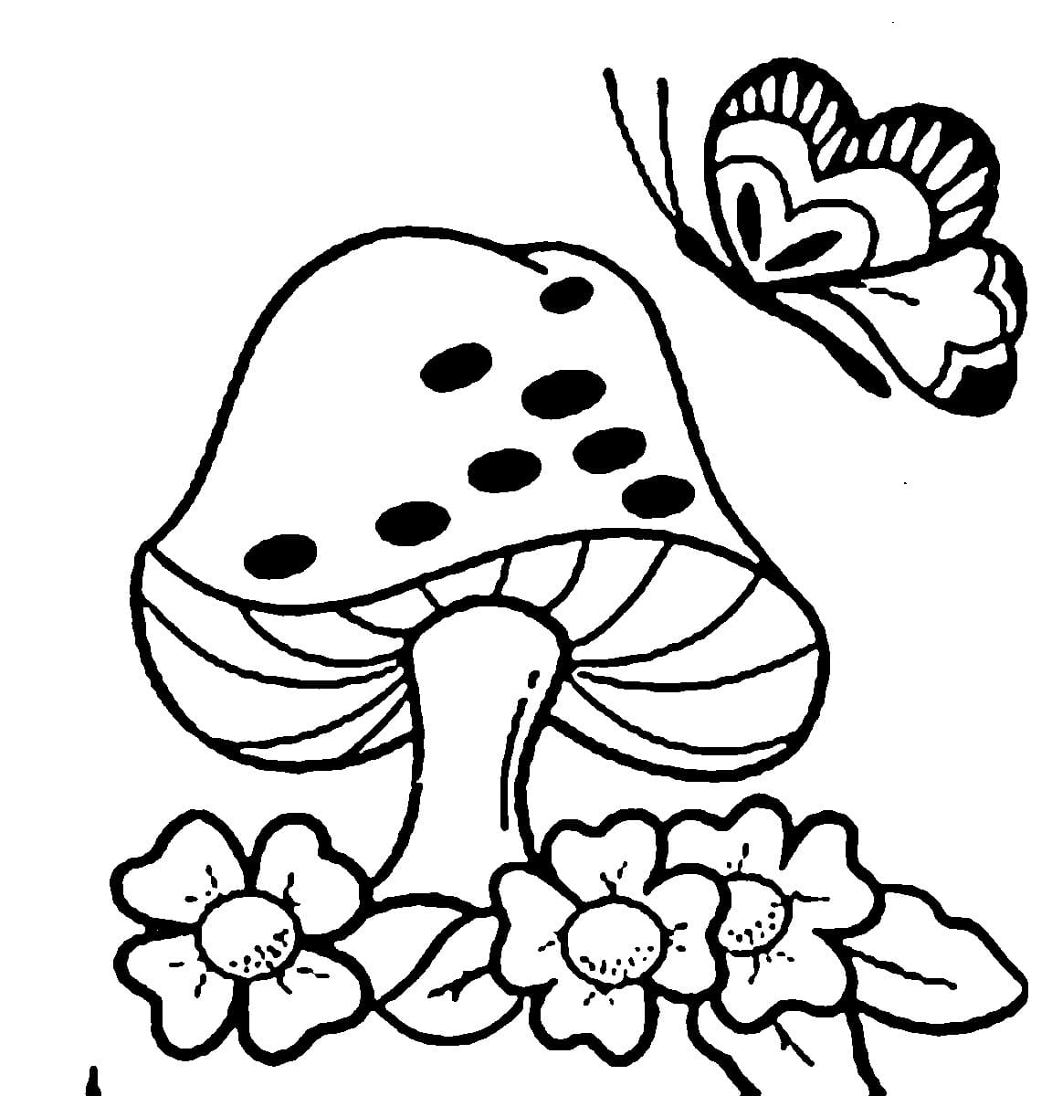 버섯과 나비