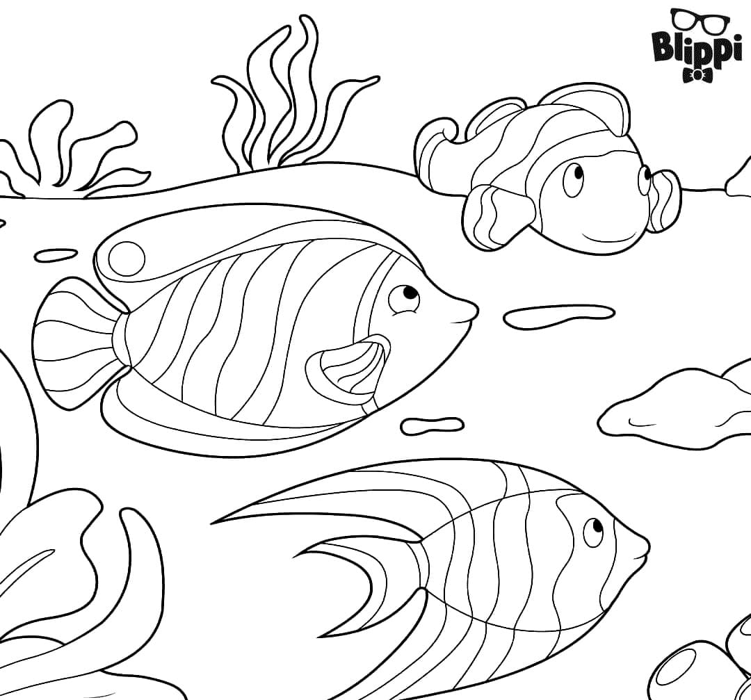 Blippi의 물고기 coloring page