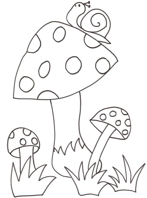 달팽이와 버섯 coloring page