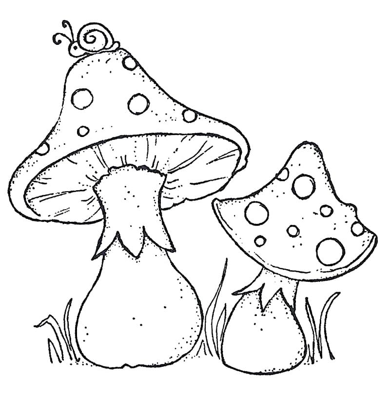 두 버섯 coloring page