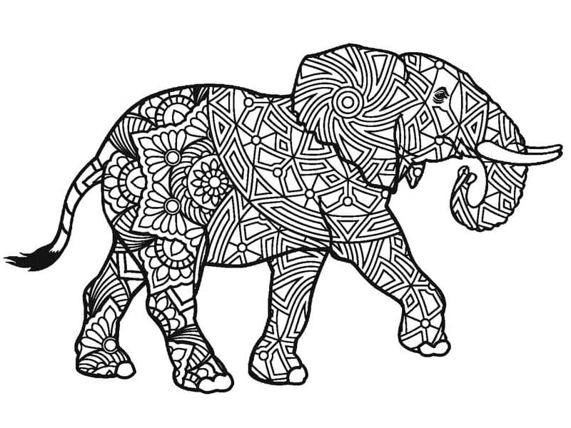 어른을 위한 코끼리 coloring page