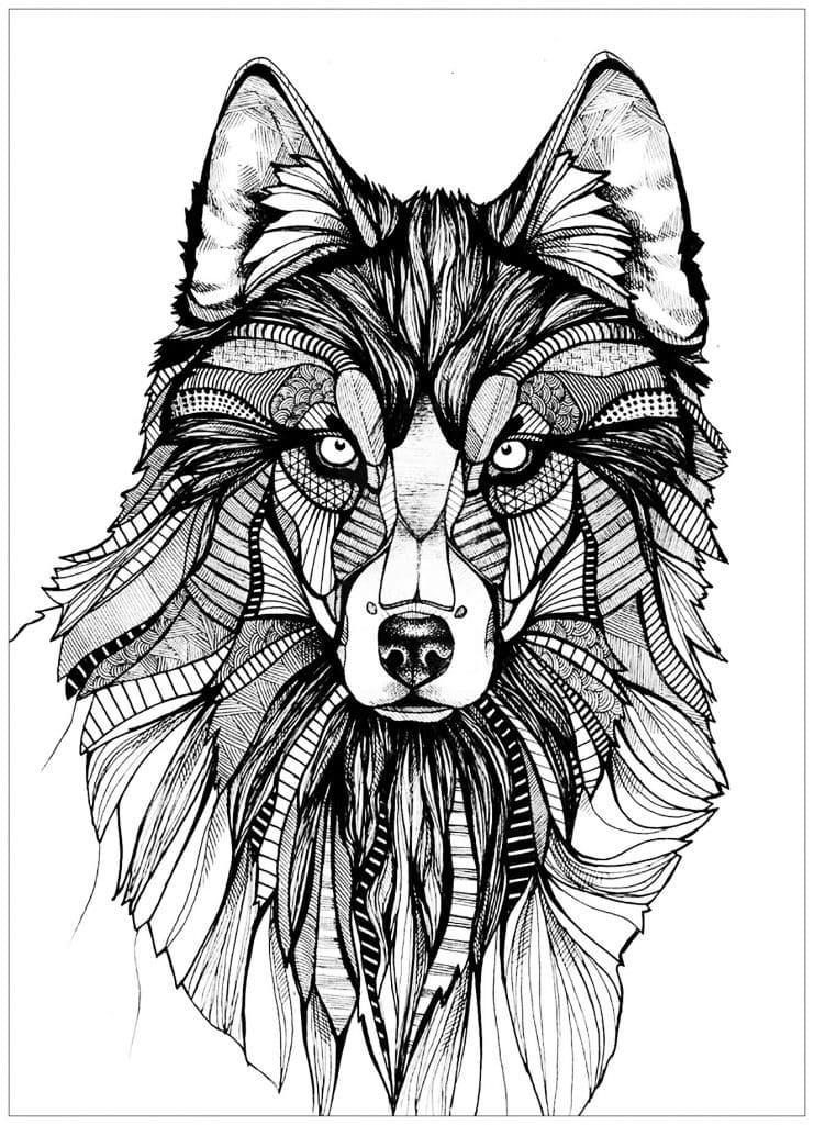어른을 위한 늑대 coloring page