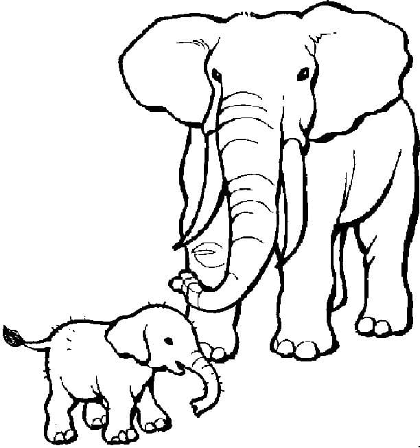 엄마와 아기 코끼리 coloring page